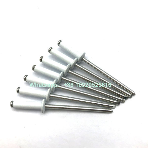 RAL 9003 color painted aluminum steel blind rivets